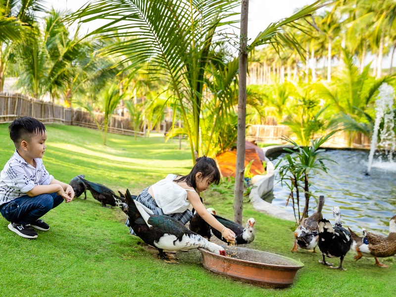 800x600 - Fusion Cam Ranh Farm - Fusion Farm (1)