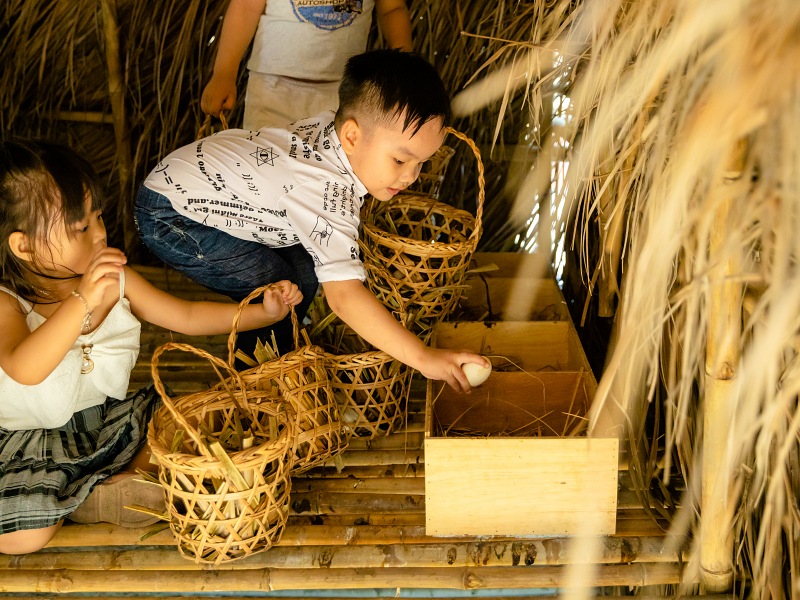 800x600 - Fusion Cam Ranh Farm - Fusion Farm (3)