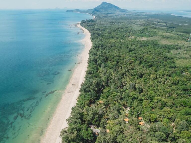 800x600 - Joy BUngalow - 523219226