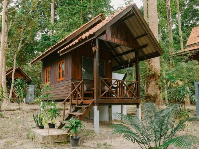 800x600 - Joy BUngalow - 675878079