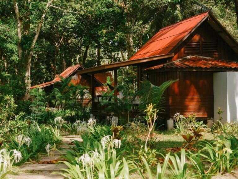 800x600 - Joy BUngalow - 675879690