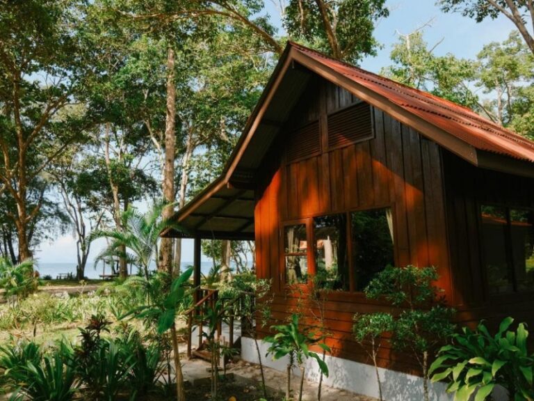 800x600 - Joy BUngalow - 675879708