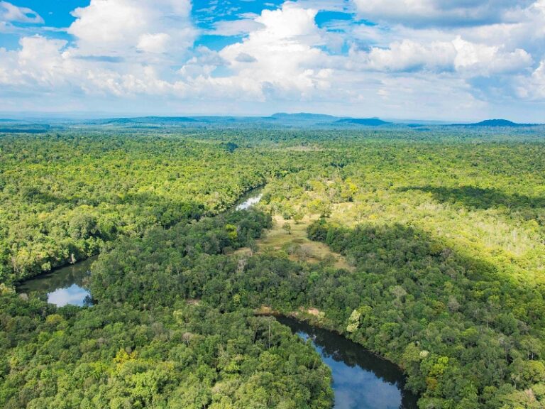 800x600 - Cardamom Tented Camp - Area-1