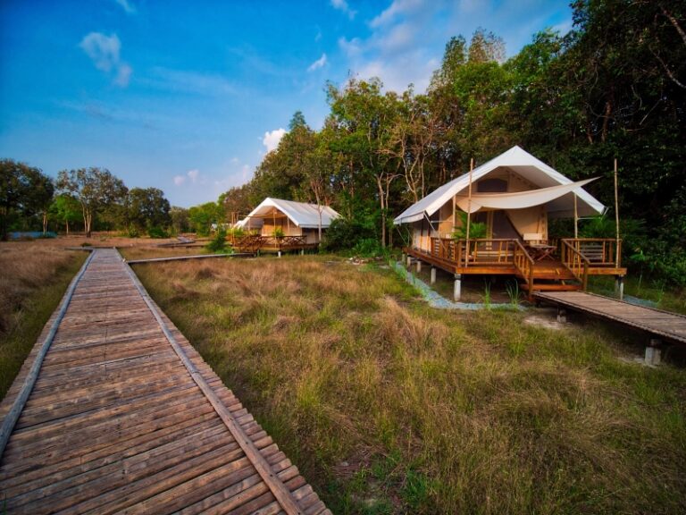 800x600 - Cardamom Tented Camp - Camp view tents