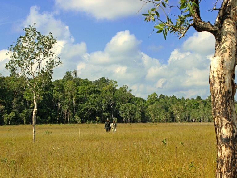 800x600 - Cardamom Tented Camp - Copy of contact-3
