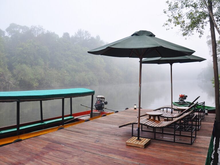 800x600 - Cardamom Tented Camp - DSC_1076