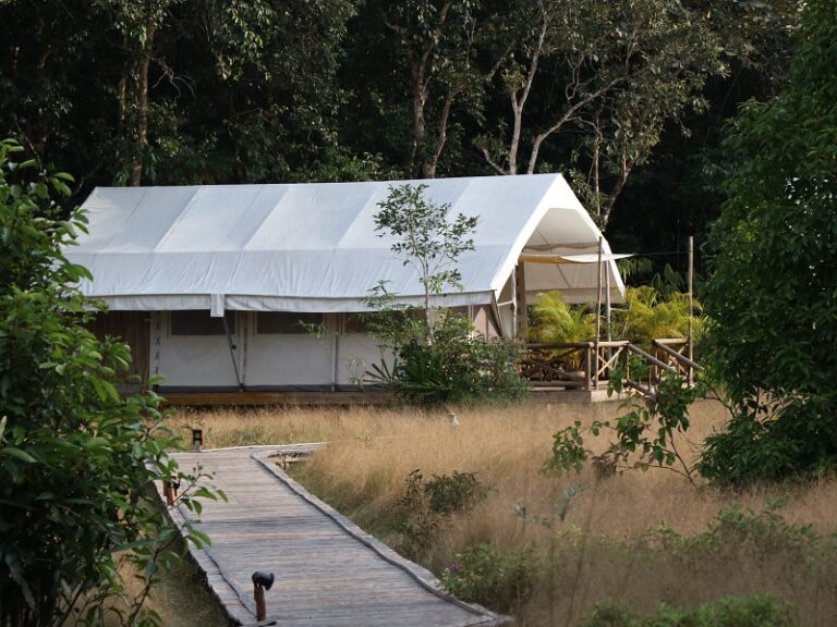 800x600 - Cardamom Tented Camp - IMG_4199