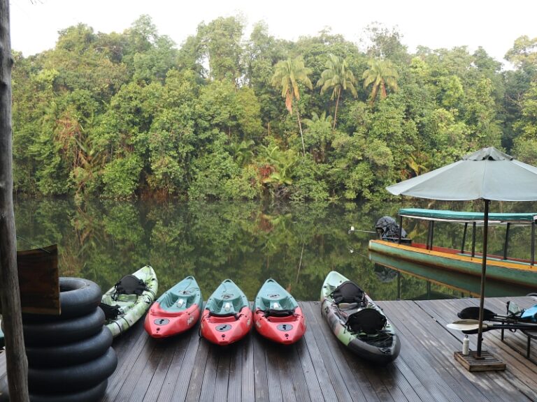 800x600 - Cardamom Tented Camp - IMG_4465