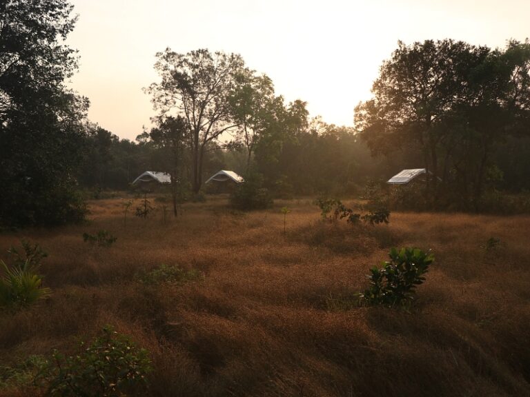 800x600 - Cardamom Tented Camp - IMG_4476