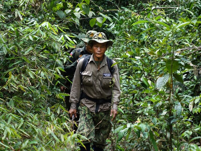 800x600 - Cardamom Tented Camp - Rangers Walking 1