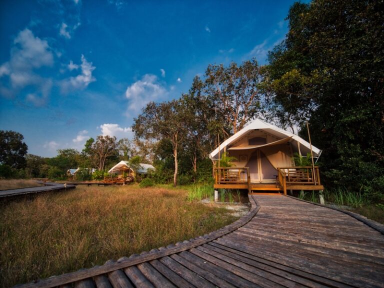 800x600 - Cardamom Tented Camp - Tent Walkway view