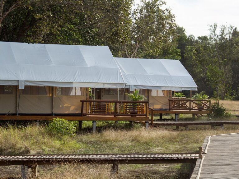 800x600 - Cardamom Tented Camp - Tents
