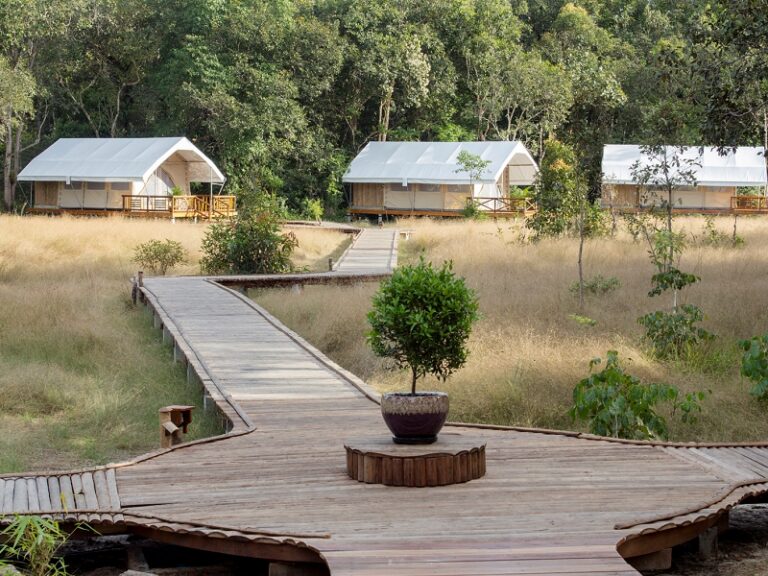 800x600 - Cardamom Tented Camp - Tents walkway