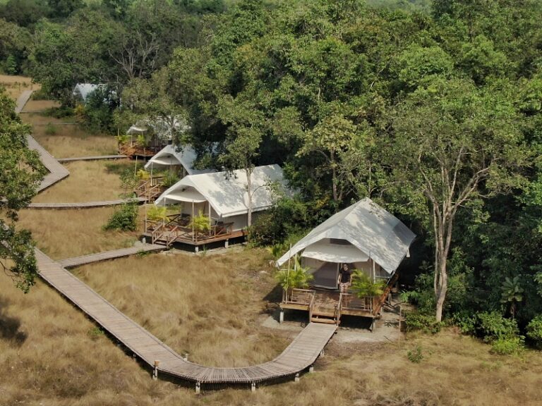 800x600 - Cardamom Tented Camp - vlcsnap