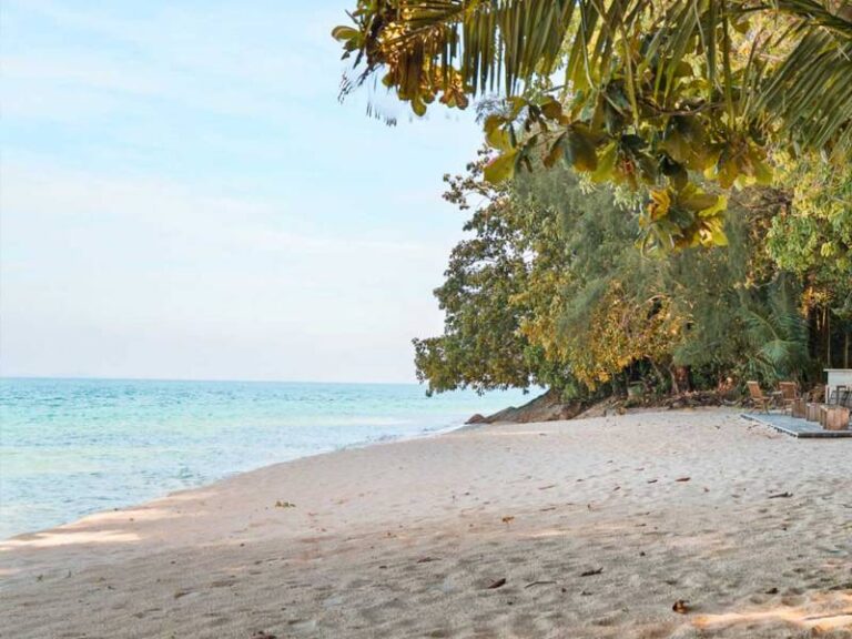 800 - Batu Batu - batu-batu-experiences-beach-clean-up-01