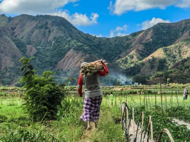 800x600 - Lombok800_-_Lombokfarmer-5617832_1280