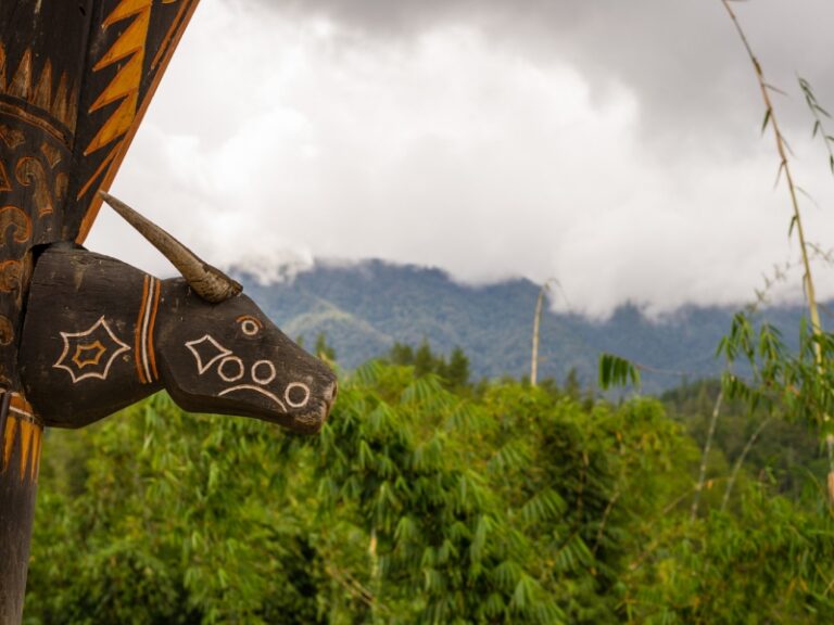 800x600 - Sulawesi2642