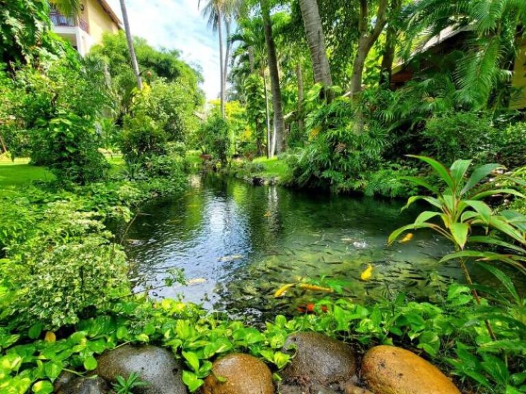 800 - Bamboo Village - 325998161