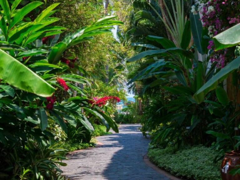800 - Bamboo Village - 325998769