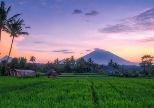 800 - Bali - sunset-at-the-rice-fields-in-bali