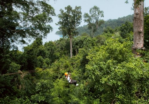 800 - Bungaraya RecreationZip Line-15