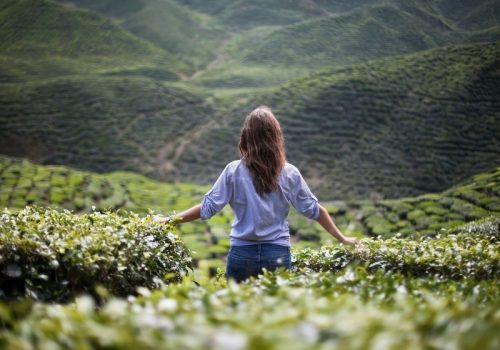 lonely girl in mountains