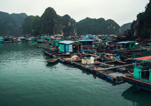 800 - Halong - floating-fish-farm-in-ha-long-bay-vietnam-production-of-fish-and-shellfish-in-the-sea