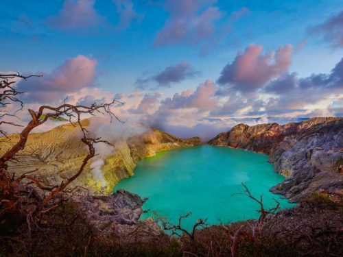 800 - Java - kawah-ijen-volcano-with-dead-trees-in-java-indonesia