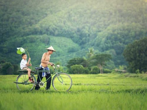 800 - Kambodscha - bicycle-1822640_1920