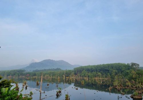 800 - Khlong nam sai Krabi Spesi - P061KS (1)