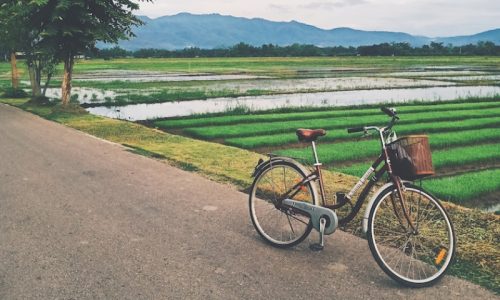 800 - Khum Lannakhum-lanna-chiang-mai_orig