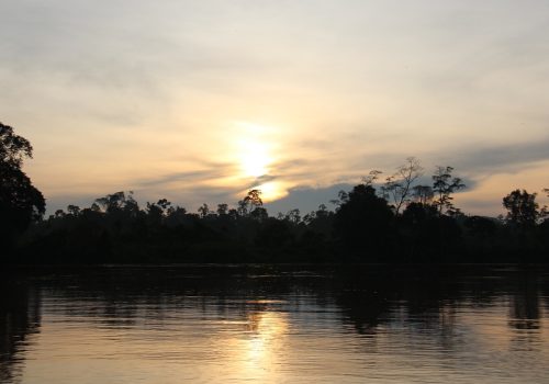 800 - KinabatanganKinabatangan River - Morning Dusk