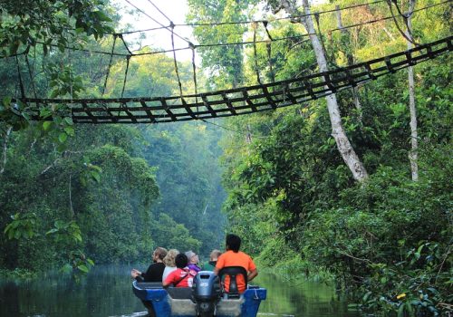 800 - KinabatanganKinabatangan River - River Cruise (2)