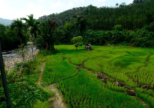 800 - Kiulu Villagekiulu_farmstay_33