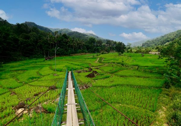 800 - Kiulu Villagekiulu_farmstay_35
