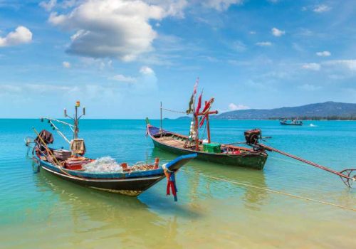 800 - Koh Samui - fishing-boats-on-koh-samui-island-thailand