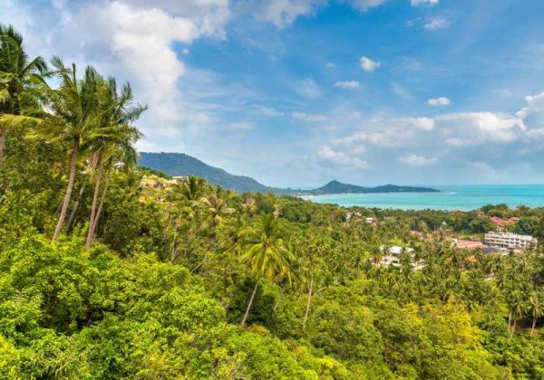 800 - Koh Samui - panoramic-aerial-view-of-koh-samui-island-thailand