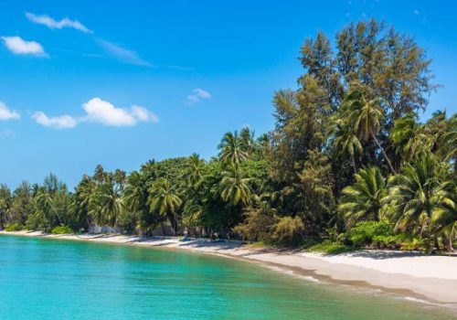 800 - Koh Samui - tropical-beach-with-palm-trees-on-koh-samui-island-thailand