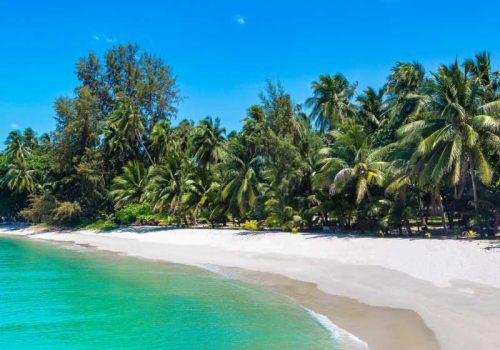 800 - Koh Samui - tropical-beach-with-palm-trees-on-koh-samui-island-thailand(1)
