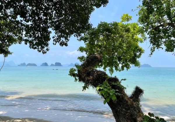 800 - Koyao Island Resort - IMG_6202