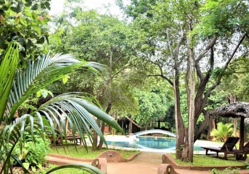 800 - Kuwera Eco Ldoge - garden-and-pool