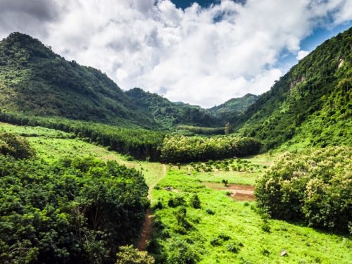 800 - Laos für EntdeckerEasia_Travel_Luang_Prabang_-_Hike_from_Ban_Long_Tao_to_Kuang_Sy_Waterfalls_93953-1000px