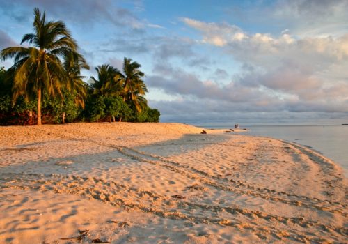800 - Libaran IslandTurtle Tracks on the Beach
