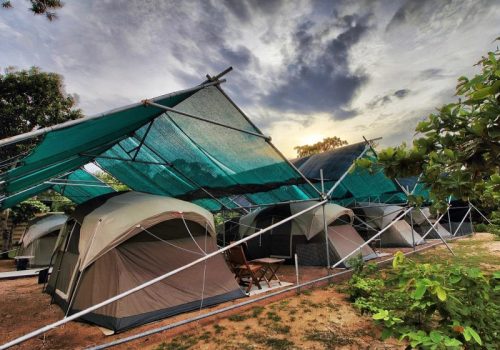 800 - Libaran IslandWalai Penyu - 02