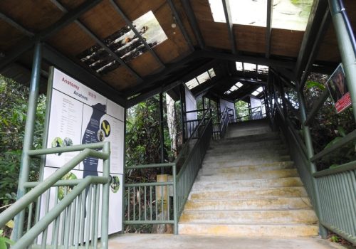 800 - Malaienbärdscn8661_1_orig