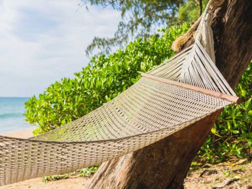 800 - Malediven - empty-hammock-on-tropical-beach-sea-ocean-for-leisure-relax-in-vacation-travel