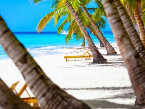800 - Malediven - vacation-summer-holidays-background-wallpaper-sunny-tropical-exotic-caribbean-paradise-beach