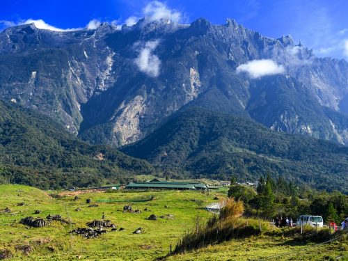 DAIRY FARM, KUNDASANG , SABAH