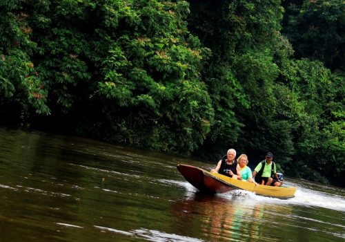 800 - Mulu1473223008-XL