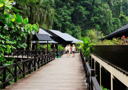 800 - Mulu1473223165-XL